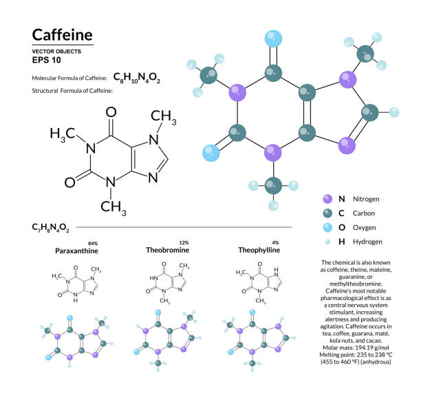 Structural chemical molecular formula and model of caffeine. Atoms are represented as spheres with color coding isolated on background. 2d or 3d visualization and skeletal formula Structural chemical molecular formula and model of caffeine. Atoms are represented as spheres with color coding isolated on background. 2d or 3d visualization and skeletal formula. Vector illustration caffeine stock illustrations