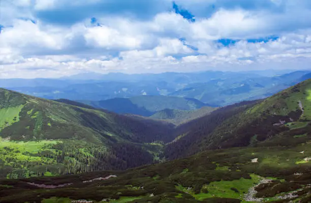 landscape consisting of a Carpathians mountains with fir-trees and green grassy valley and blue sky with white clouds on the background