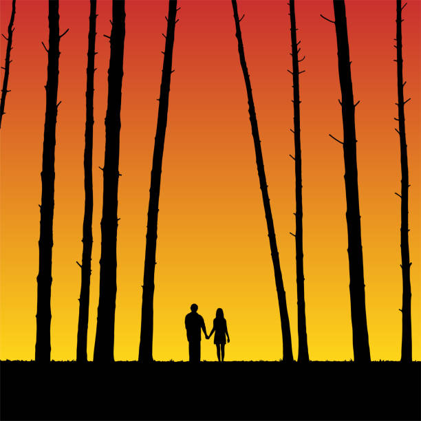 ilustraciones, imágenes clip art, dibujos animados e iconos de stock de amantes en el bosque al atardecer - silhouette kissing park sunset