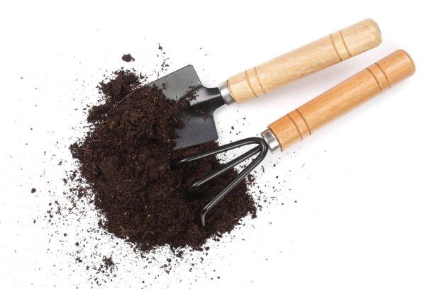 istock garden tools in soil isolated on white background 926358414