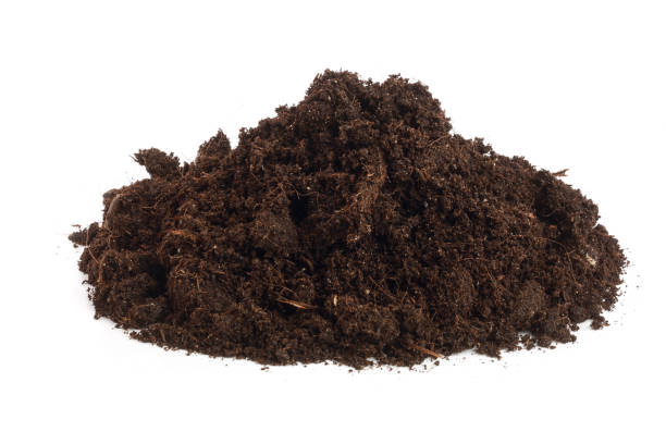 istock Pile heap of soil isolated on white background 926358496
