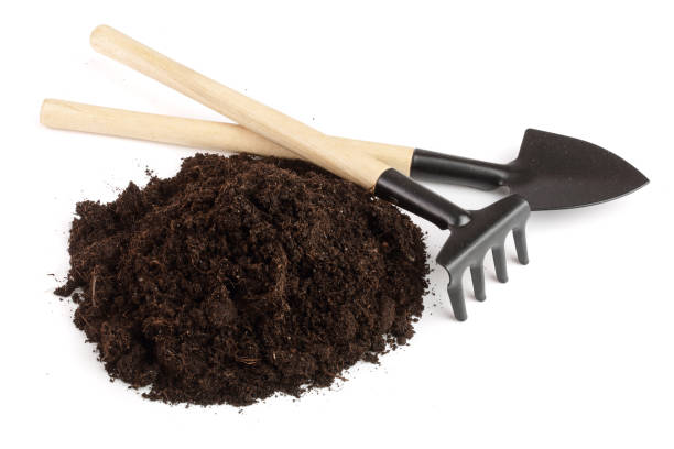 istock garden tools in soil isolated on white background 926358586