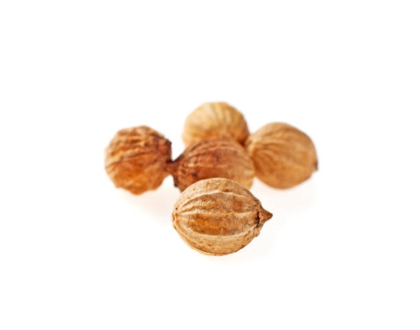 istock Coriander seeds isolated on white background 926362236
