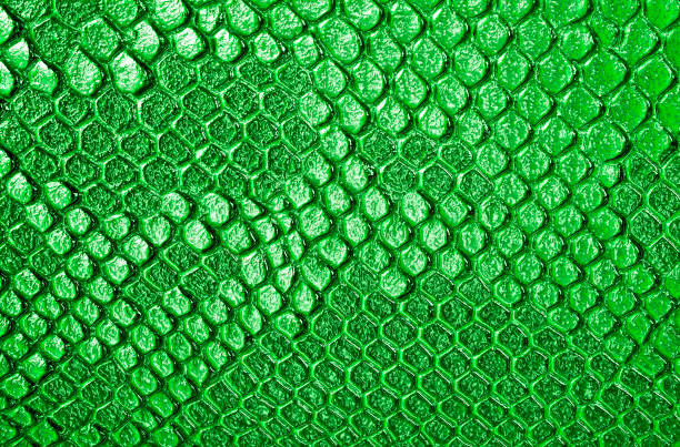 istock Green snake skin background 926362346