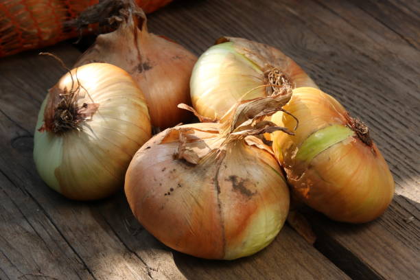 istock fresh onion on an old wooden board in sunlight 926366274