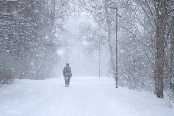 istock Walking a footpath through the trees in a blizzard 926369194