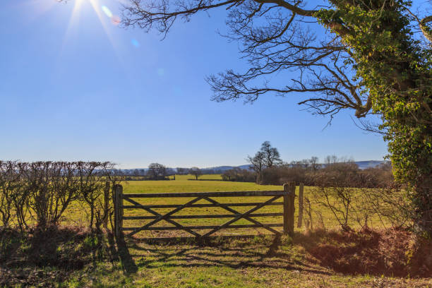 A rural  Sussex scene, on a sunny winters day