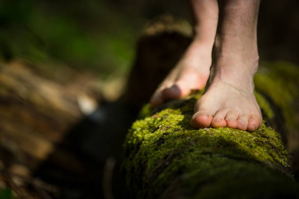 A Bare Male Feets Standing on a Log Covered with Bright Green Moss. A Barefooted Man Standing on a Log Covered with Bright Green Moss. Barefoot stock pictures, royalty-free photos & images