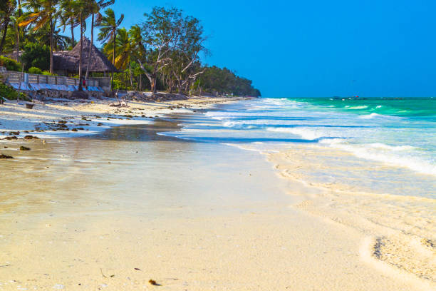 istock Paje village, Zanzibar, Tanzania 926372496