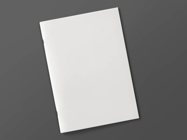 Blank Magazine or Brochure isolated on grey. 3d illustration.