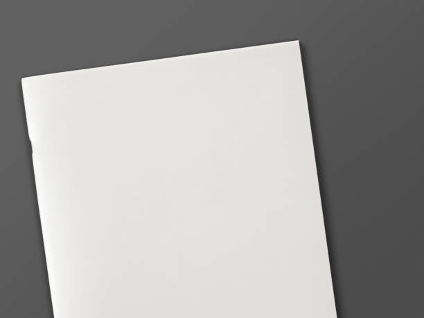 istock Blank Magazine or Brochure isolated on grey. 3d illustration. 926379444