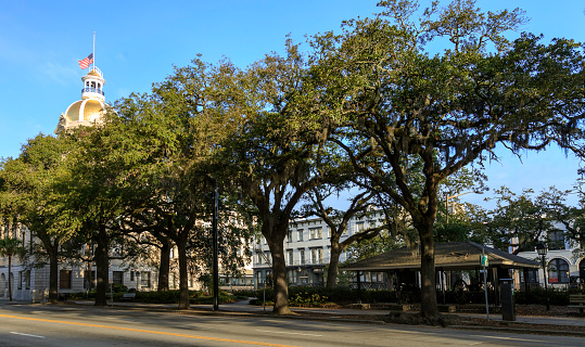 A panoramic view of Bay St and the Golden Dome of Savannah's City Hall in Savannah, GA.