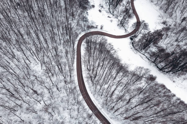 istock Winter forest and Road. Top view. 926384744
