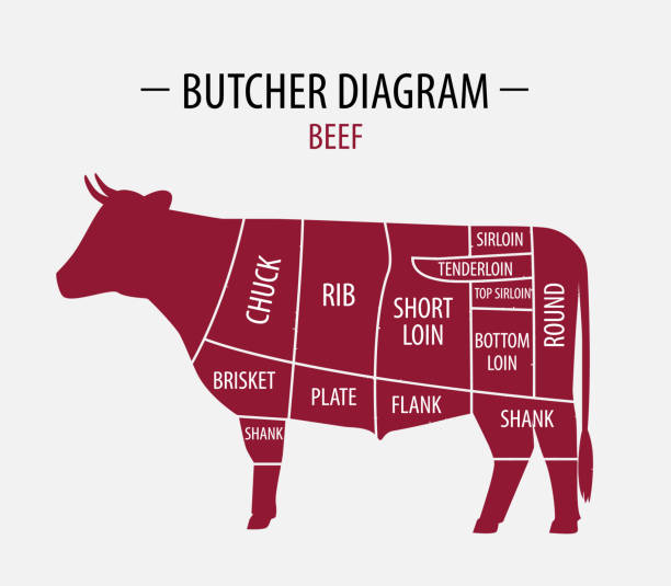 牛肉のカット。食料品のポスター肉屋図、肉を格納します。 - chuck steak点のイラスト素材／クリップアート素材／マンガ素材／アイコン素材