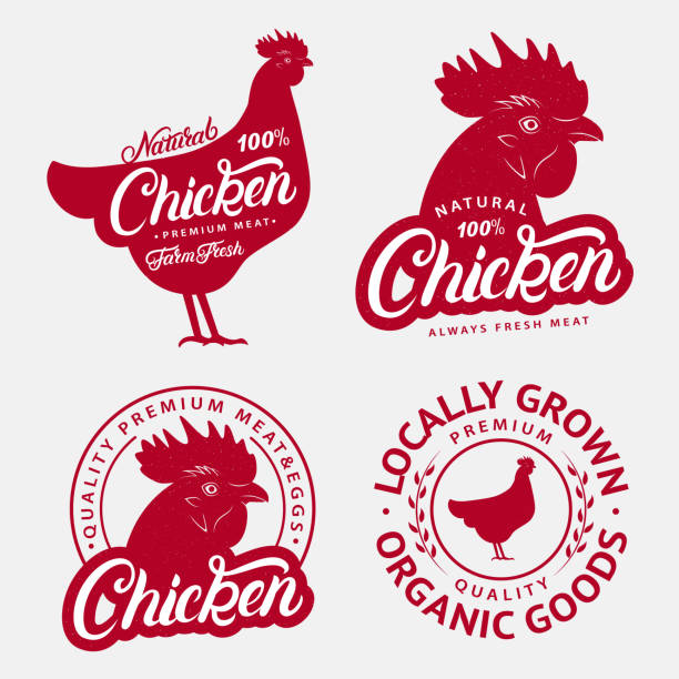 ilustraciones, imágenes clip art, dibujos animados e iconos de stock de conjunto de etiquetas pollo, impresiones, carteles para carnicería, mercado del granjero. - chicken poultry cartoon cockerel