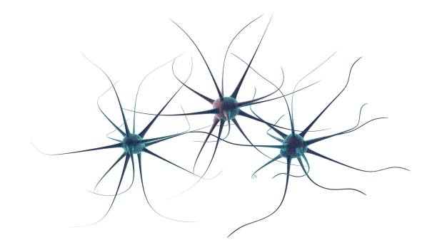 istock Science or medical background with molecules, 3d rendering virus, bacteria, cell. System of neurons. Genetic, scientific, medical research. Abstract molecules design. 3D render illustration 926427826