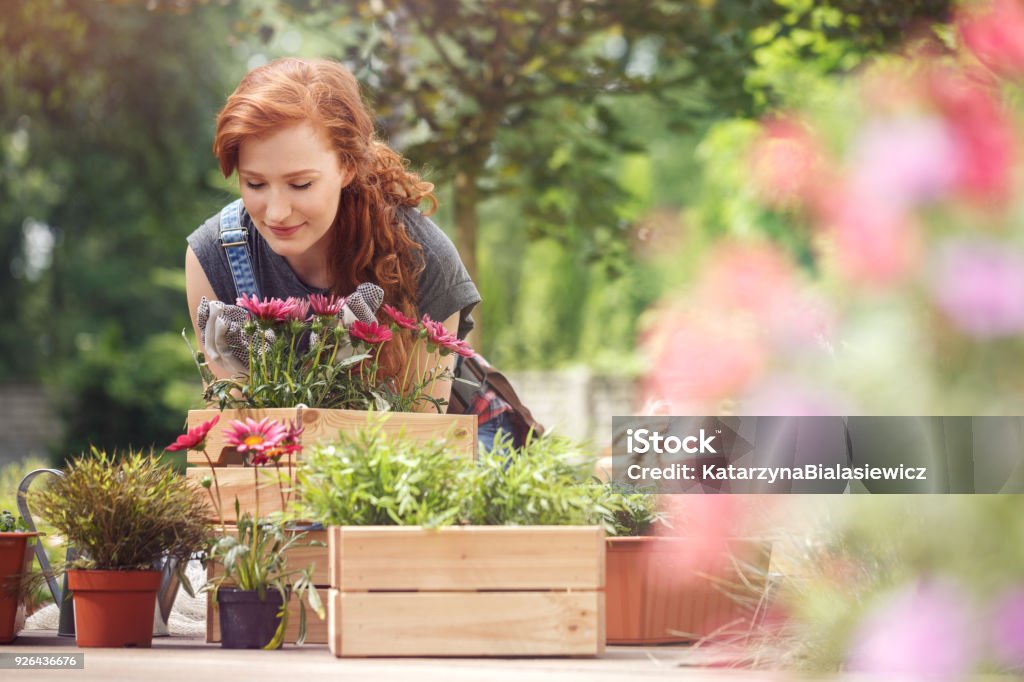 Girl smelling red flowers Red-haired girl smelling red flowers in wooden box while relaxing in the garden on a sunny day Gardening Stock Photo