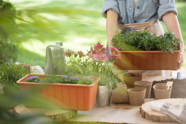 istock Watering can and flower pots 926436692