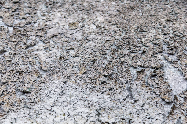 istock dirt or dry dirty ground texture background 926443822