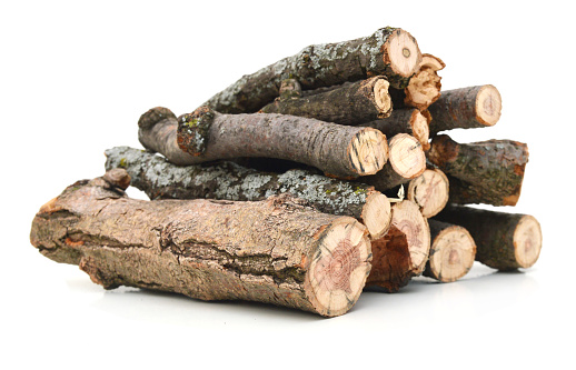 wooden branch tree pile on white