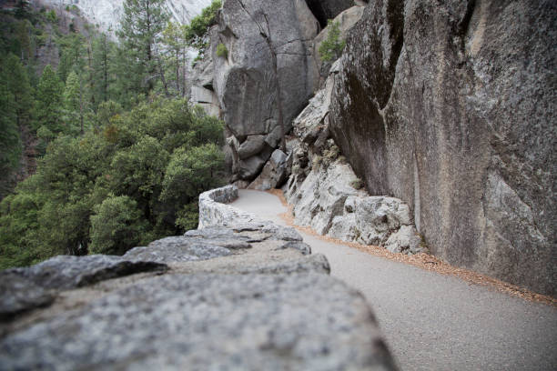 istock Paved asphalt trail at Yosemite 926471422