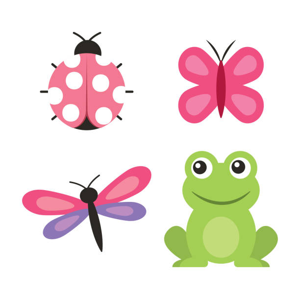 illustrations, cliparts, dessins animés et icônes de coccinelle de mignon grenouille libellule papillon - ladybug insect isolated nature