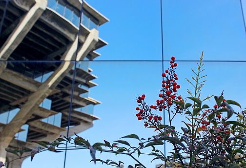 One corner of Geisel Library at UCSD.