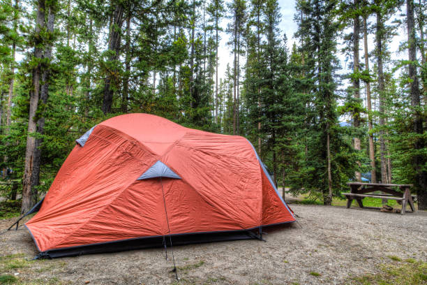 istock Summer Camping in Banff National Park 926483054