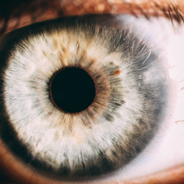istock enlarged image of an eye iris made with a slit lamp 926483396