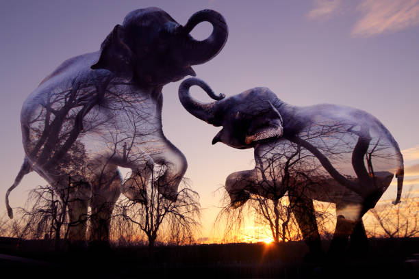 istock Elephants abstract with double exposure for natural background. 926486870