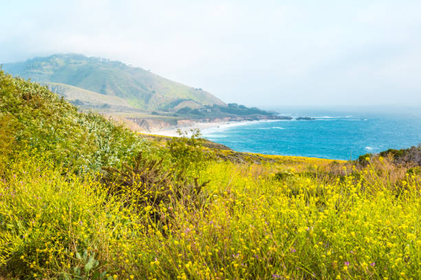 istock Coastline in Big Sur, California 926487726