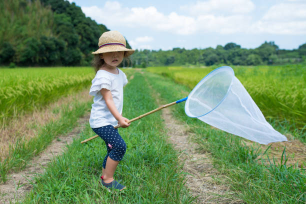 Catching butterflies