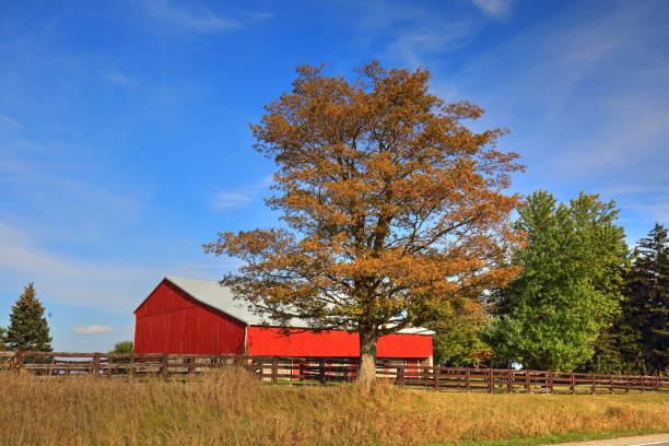 istock Typical Canadian Countryside in Ontario 926490284