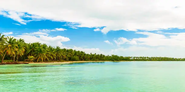 Saona Island beach in the Caribbean Sea. Dominican Republic, a bay in the tropical sea.