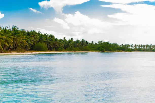 Saona Island beach in the Caribbean Sea. Dominican Republic, a bay in the tropical sea.