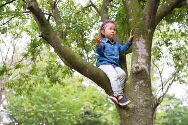 istock Little girl climbing a tree 926494454