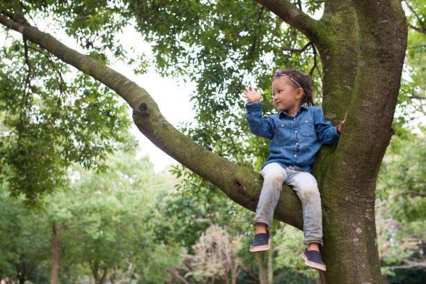 istock Little girl climbing a tree 926494626