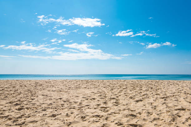tropical sea in summer.
