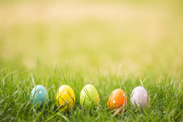 easter egg background with copy space. - easter easter egg eggs spring imagens e fotografias de stock