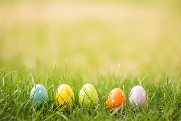 easter egg background with copy space. - easter egg easter grass spring imagens e fotografias de stock