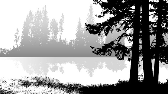 waterfront image in black and white with closeup of a pine tree