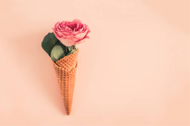 istock Waffle cone with rose flower from above 926505728