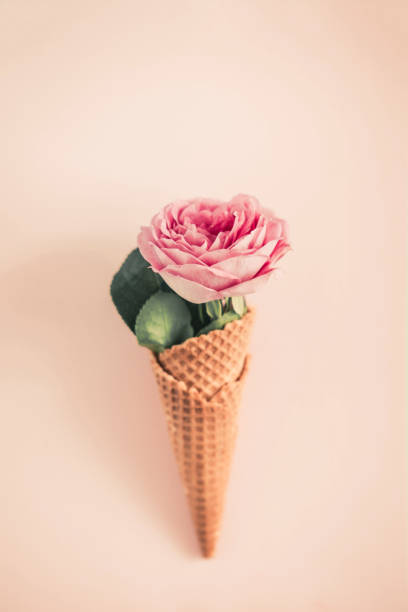 istock Waffle cone with rose flower from above 926505746