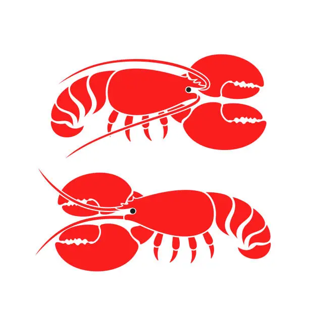 Vector illustration of Lobster set. Isolated lobster on white background