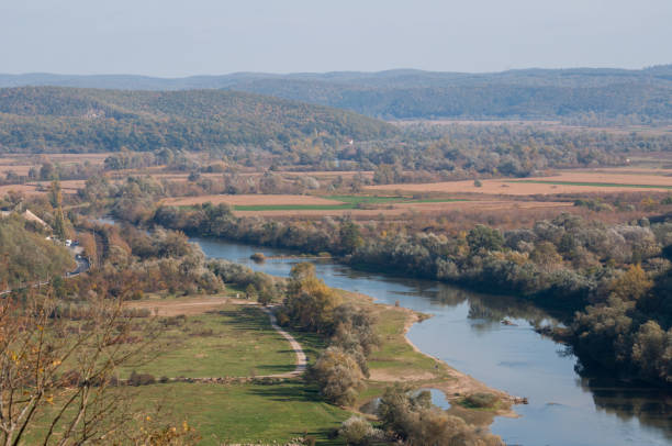 早い秋の間に川の眺め - flowing blue rippled environment ストックフォトと画像