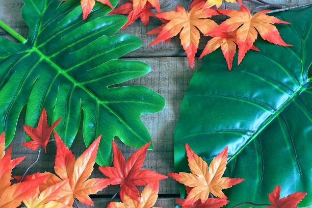 istock Maple leaf decorate on wood plate background 926517504