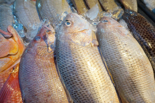 istock Fresh fishes in a market. 926518226