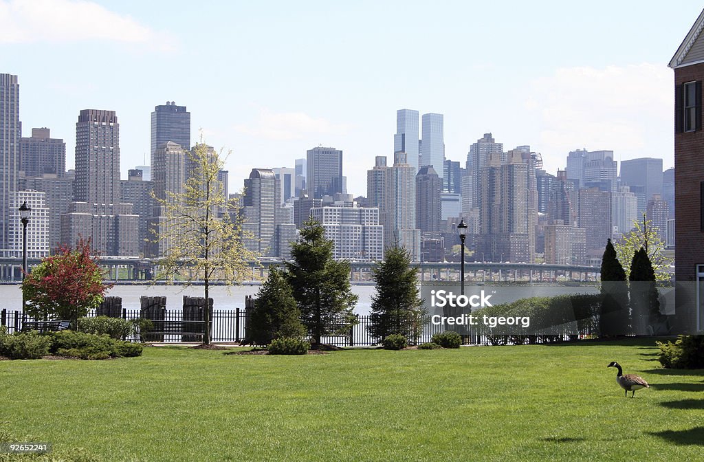 Manhattan View from Hoboken  Aquatic Organism Stock Photo