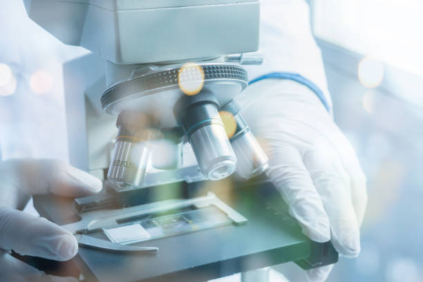 istock medical laboratory, scientist hands using microscope for chemistry ,biology test samples,examining liquid,Doctor equipment,Scientific and healthcare research background.vintage color 926522504