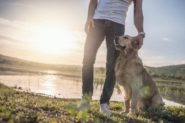 Free Stock Photo of Man and Dog by Lake | Download Free Images and Free ...